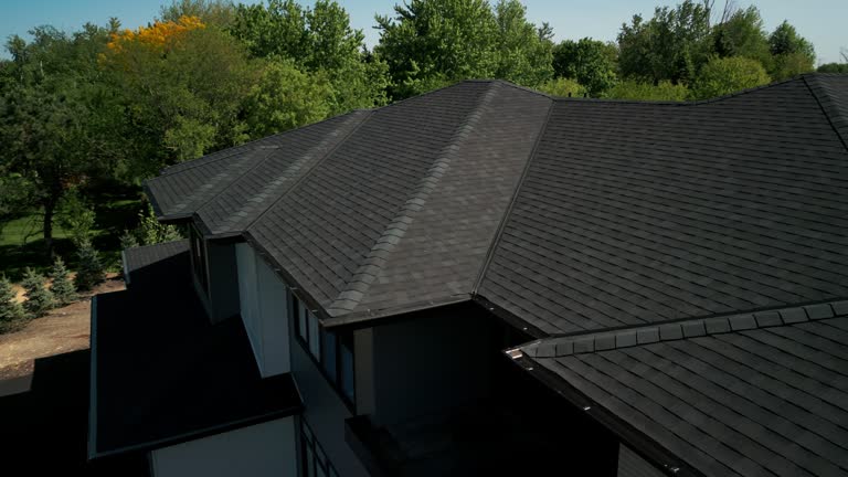 Best Steel Roofing  in Los Fresnos, TX